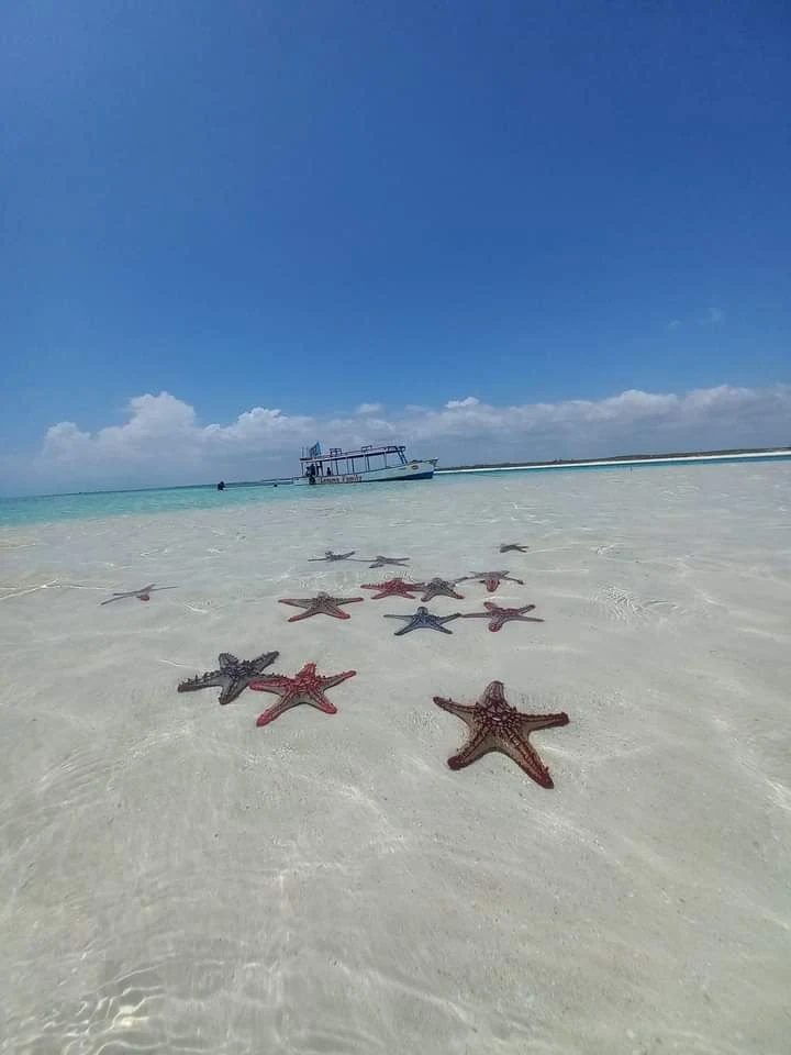 Watamu Marine Park